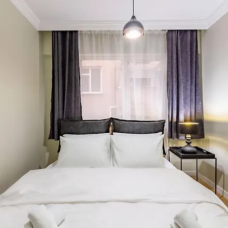 Modern And Well Designed Near Public Transportation In Maltepe Apartment